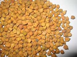 Chick Peas Chick Peas